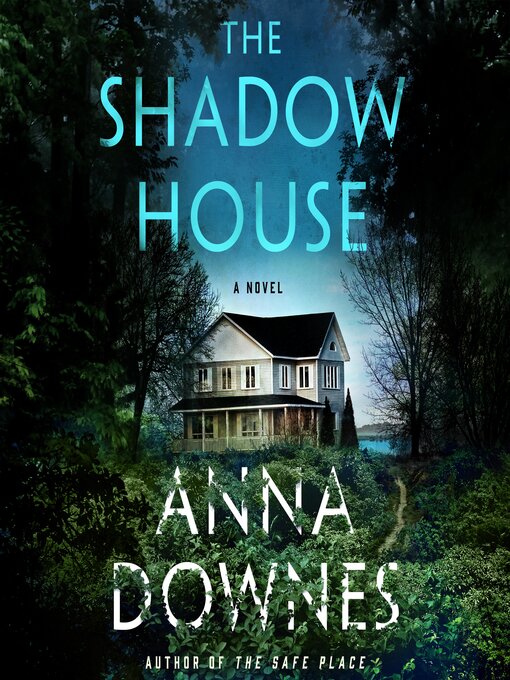 Cover image for The Shadow House
